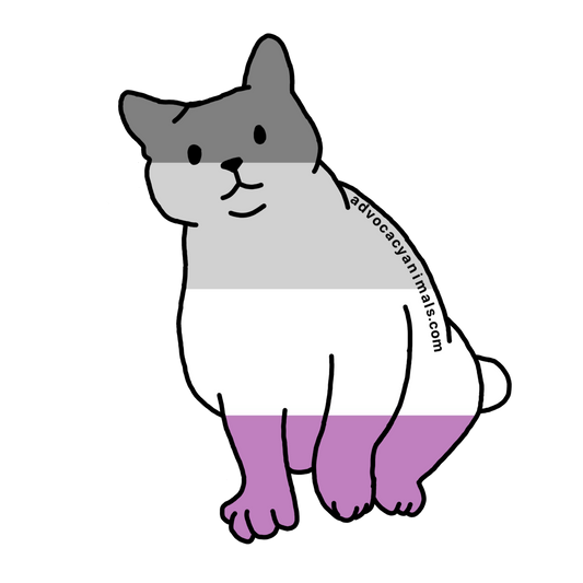 Ace Pride Cat Sticker