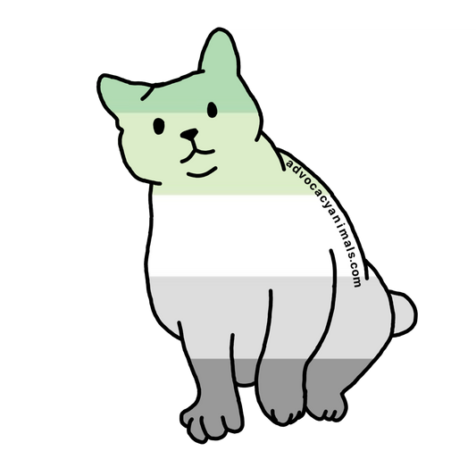 Aro Pride Cat Sticker