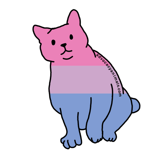 Bi Pride Cat Sticker