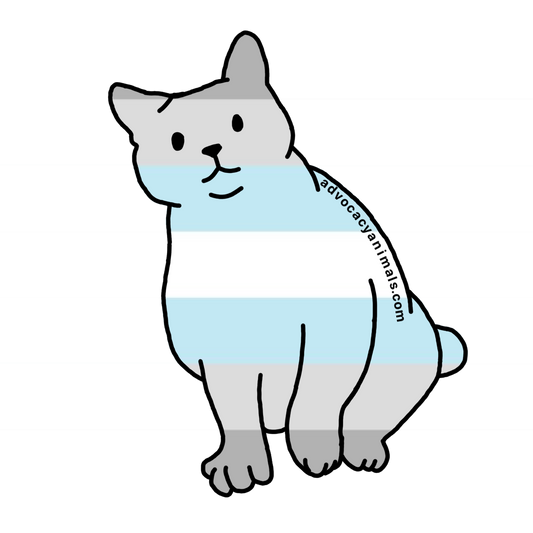 Demi Boy Pride Cat Sticker