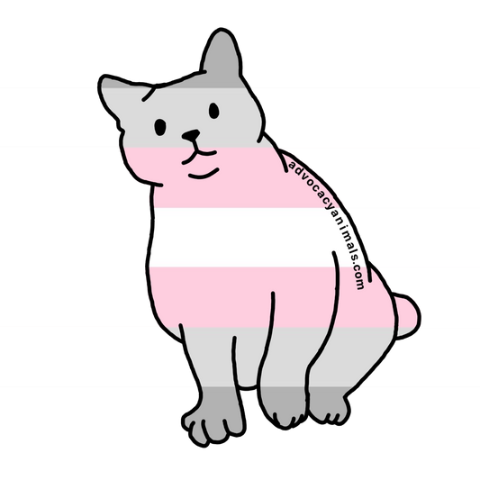 Demi Girl Pride Cat Sticker