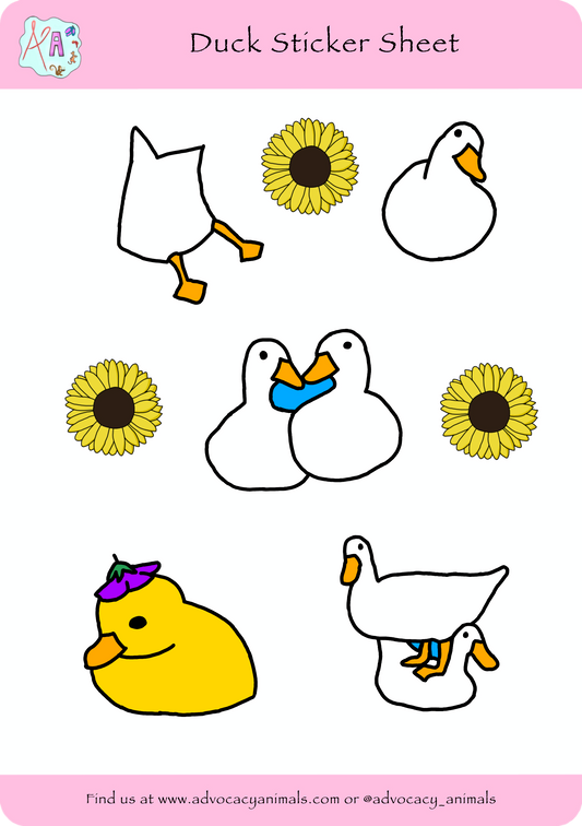 Duck Sticker Sheet