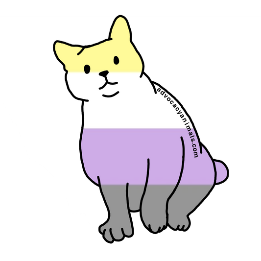 Enby Pride Cat Sticker