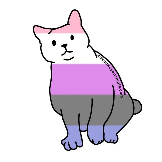 Gender Fluid Pride Cat Sticker