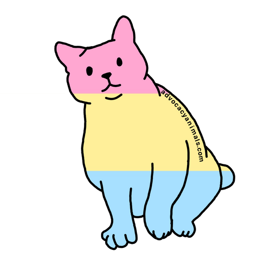 Pan Pride Cat Sticker