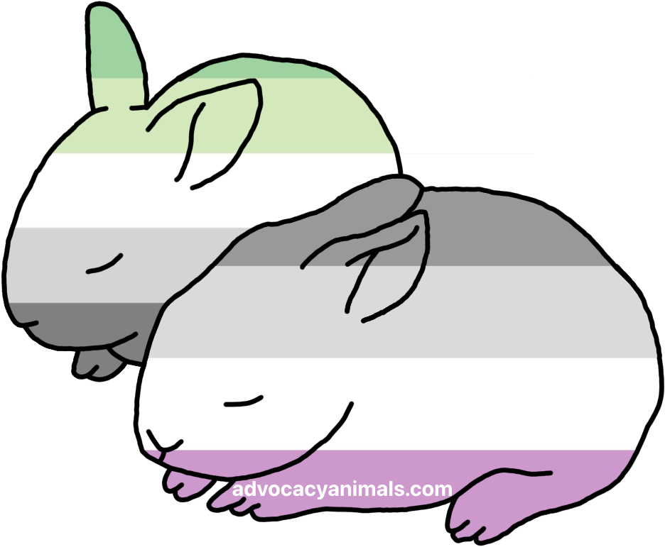 Ace and Aro Bunny Sticker