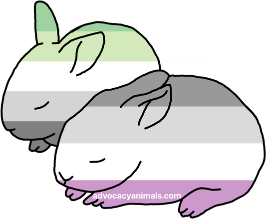 Ace and Aro Bunny Sticker