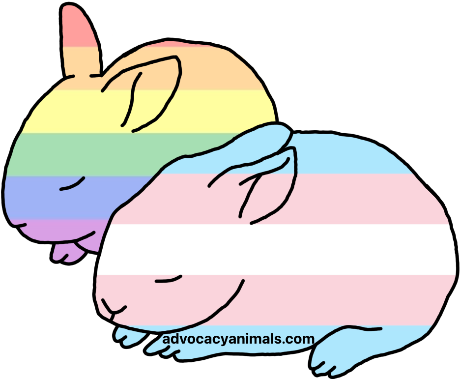Pride and Trans Bunny Sticker