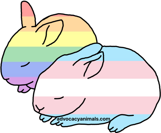 Pride and Trans Bunny Sticker